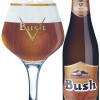 Bush Ambrée