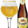 Bush Blonde
