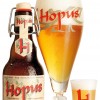 Hopus